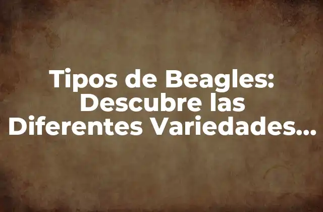Tipos de Beagles: Descubre las Diferentes Variedades de Esta Raza de Perro