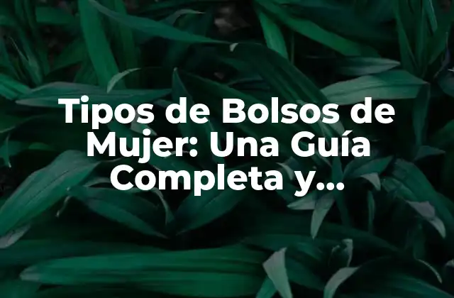Tipos de Bolsos de Mujer: una Guía Completa y Actualizada