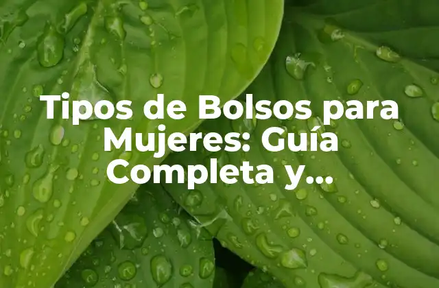 Tipos de Bolsos para Mujeres: Guía Completa y Actualizada