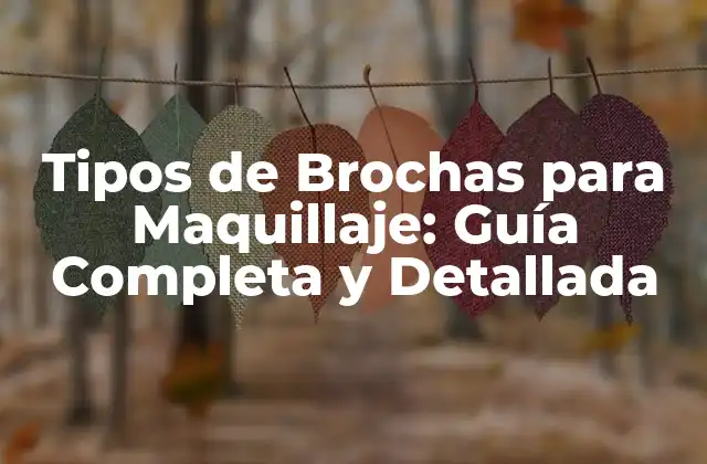 Brochas Naturales vs Brochas Sintéticas