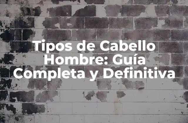 Tipos de Cabello Hombre: Guía Completa y Definitiva