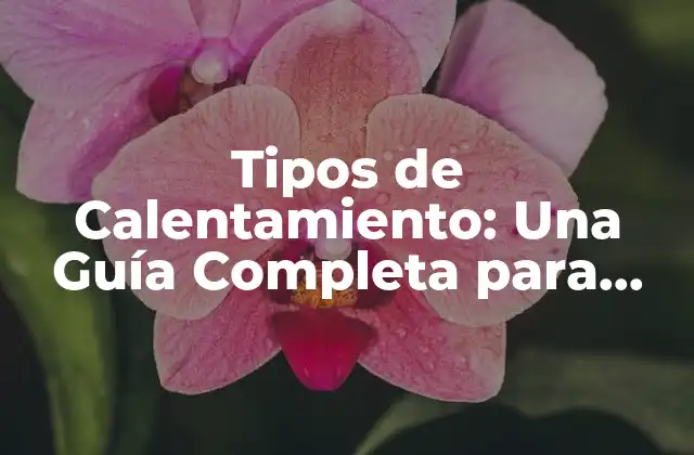 Tipos de Calentamiento: una Guía Completa para Mejorar Tus Entrenamientos