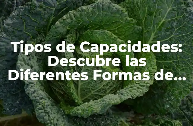 Tipos de Capacidades: Descubre las Diferentes Formas de Aprendizaje y Desarrollo