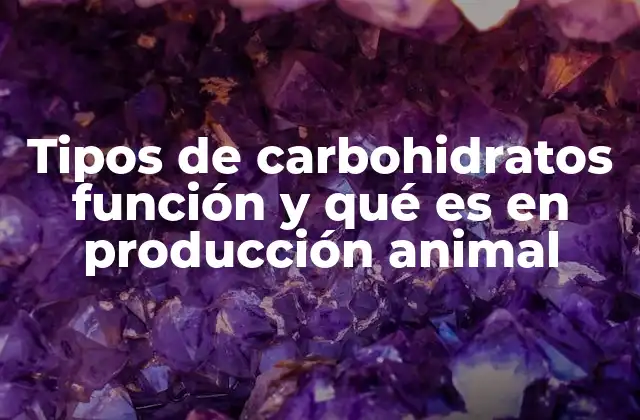 Tipos de Carbohidratos Función y Qué es en Producción Animal