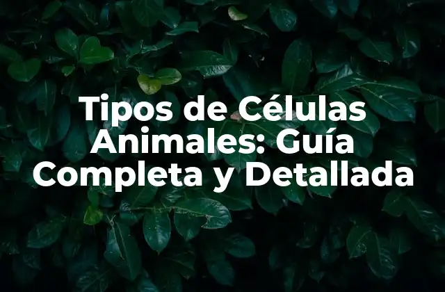 ¿Cuáles son los Componentes Primarios de las Células Animales?
