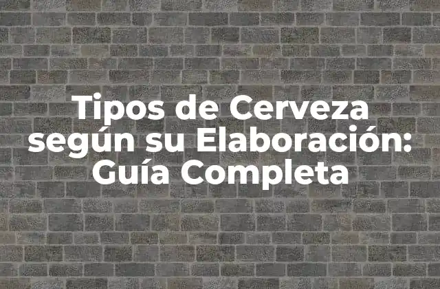 Tipos de Cerveza según Su Elaboración: Guía Completa