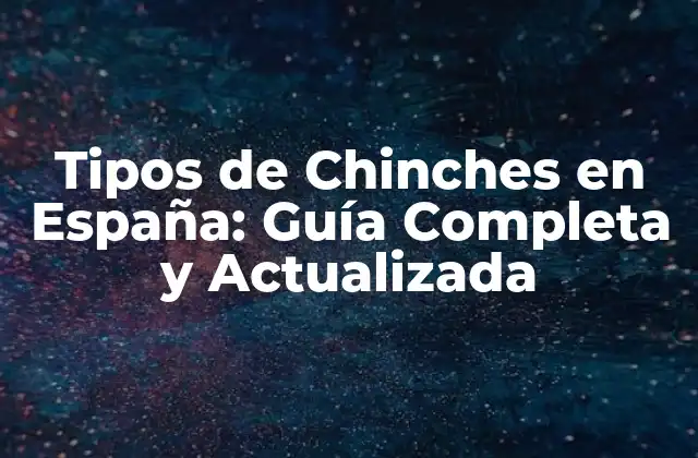 Tipos de Chinches en España: Guía Completa y Actualizada