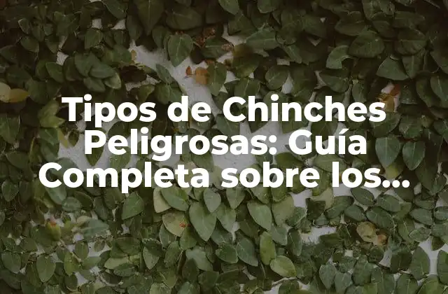 Tipos de Chinches Peligrosas: Guía Completa sobre los Insectos Más Temidos