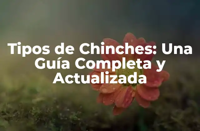 Tipos de Chinches: una Guía Completa y Actualizada