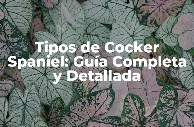 Tipos de Cocker Spaniel: Guía Completa y Detallada