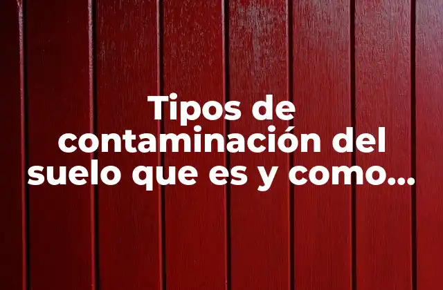 Tipos de Contaminación Del Suelo que es y como Afecta