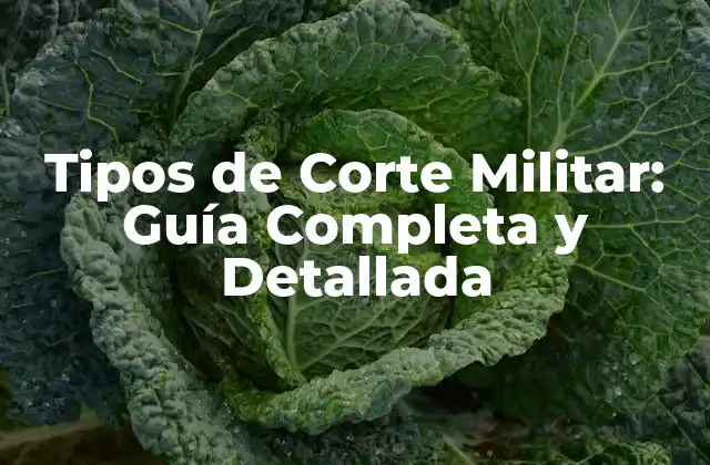 Tipos de Corte Militar: Guía Completa y Detallada