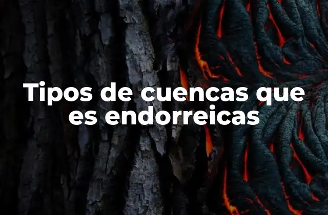 Tipos de Cuencas que es Endorreicas 2 Características geográficas y ecológicas de las cuencas endorreicas