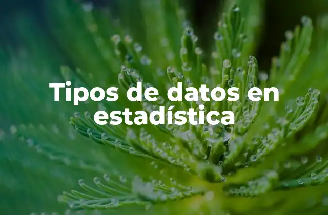 Tipos de Datos en Estadística