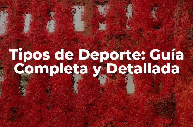 Tipos de Deporte: Guía Completa y Detallada