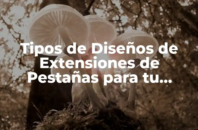 ¿Qué son las Extensiones de Pestañas y Por Qué son Importantes?