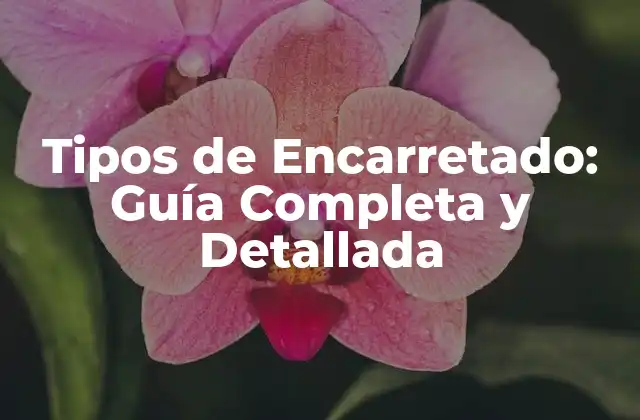 Tipos de Encarretado: Guía Completa y Detallada