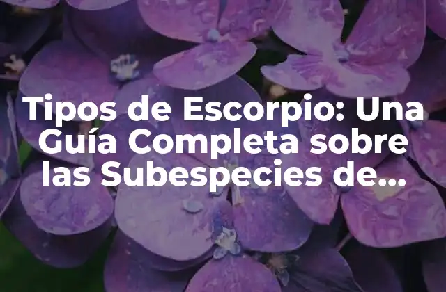 Tipos de Escorpio: una Guía Completa sobre las Subespecies de Escorpiones