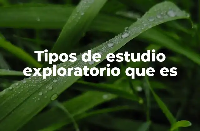 Tipos de Estudio Exploratorio que es