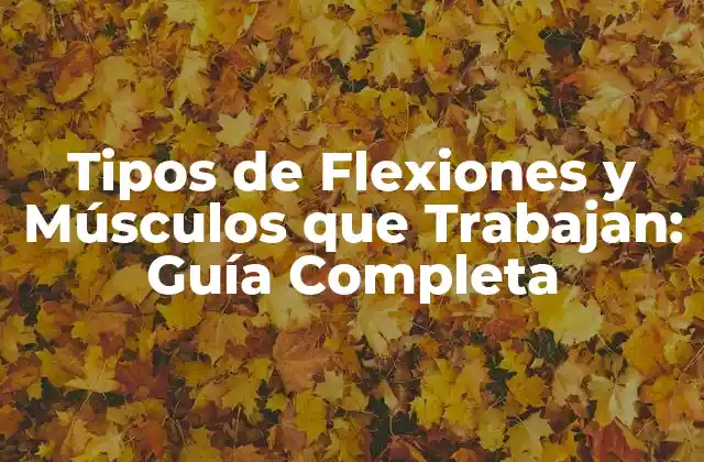 Tipos de Flexiones y Músculos que Trabajan: Guía Completa