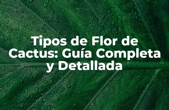 Características Generales de la Flor de Cactus
