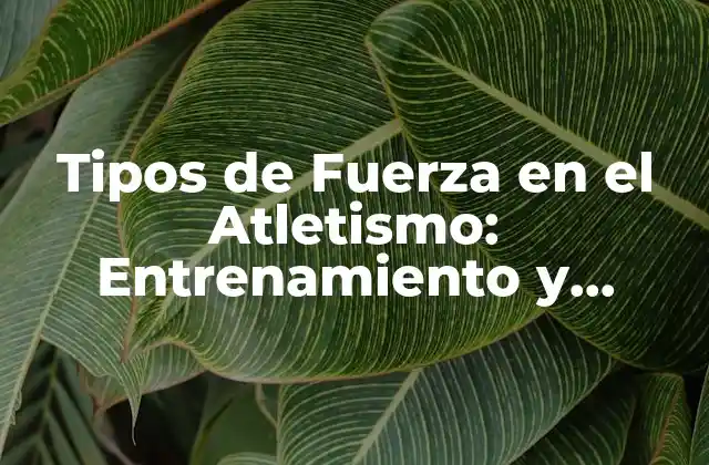Tipos de Fuerza en el Atletismo: Entrenamiento y Mejora Del Rendimiento