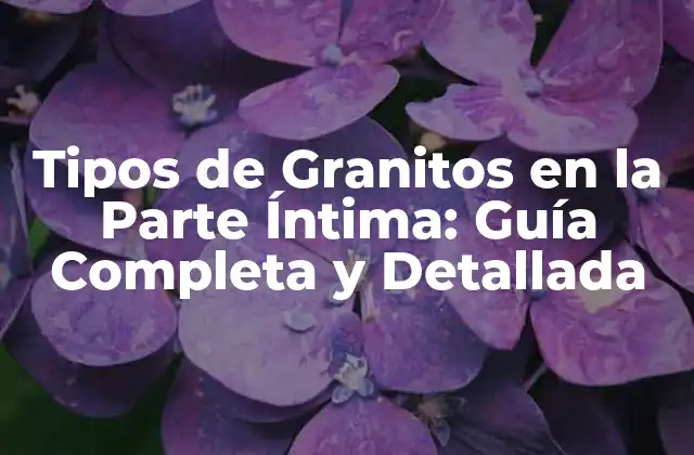 Tipos de Granitos en la Parte Íntima: Guía Completa y Detallada