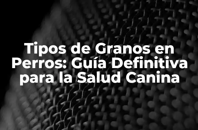 Tipos de Granos en Perros: Guía Definitiva para la Salud Canina