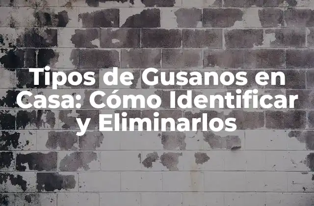 Características Comunes de los Gusanos en Casa
