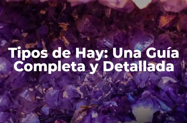 Tipos de Hay: una Guía Completa y Detallada 2 Orígenes y Historia de la Hay