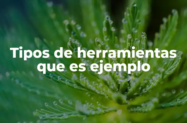 Tipos de Herramientas que es Ejemplo