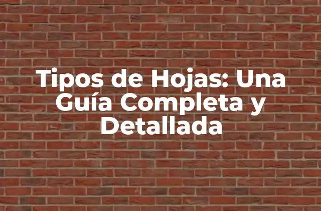 Tipos de Hojas: una Guía Completa y Detallada