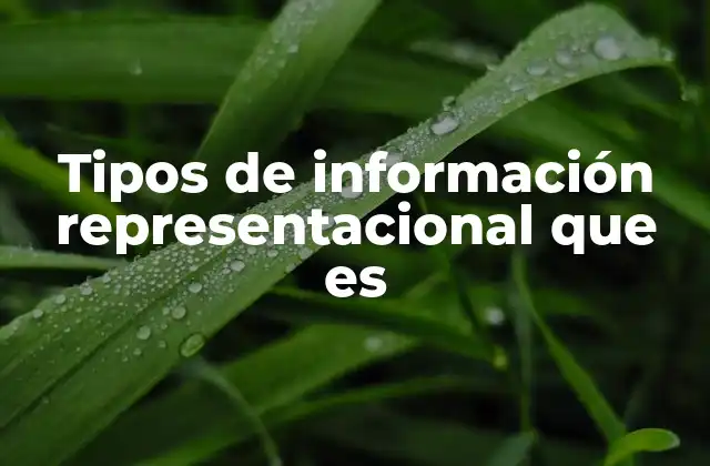 Tipos de Información Representacional que es