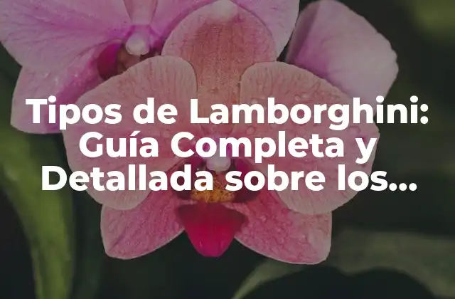 Tipos de Lamborghini: Guía Completa y Detallada sobre los Modelos de la Marca Italiana