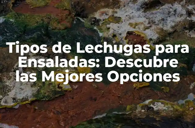 Tipos de Lechugas para Ensaladas: Descubre las Mejores Opciones