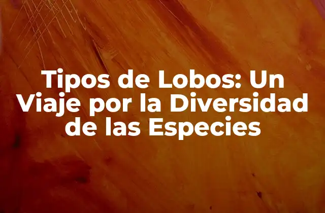 Tipos de Lobos: un Viaje por la Diversidad de las Especies
