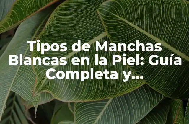 Tipos de Manchas Blancas en la Piel: Guía Completa y Actualizada