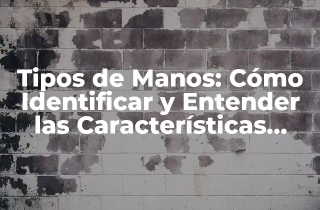 Tipos de Manos: Cómo Identificar y Entender las Características Únicas de Tu Mano