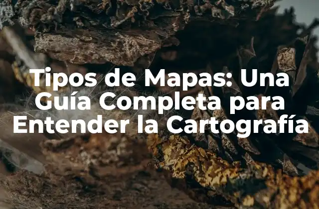 Tipos de Mapas: una Guía Completa para Entender la Cartografía