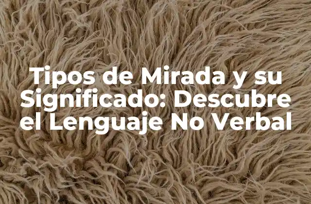 Tipos de Mirada y Su Significado: Descubre el Lenguaje No Verbal