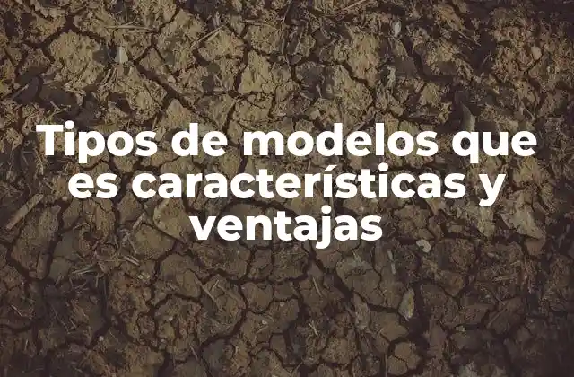 Tipos de Modelos que es Características y Ventajas