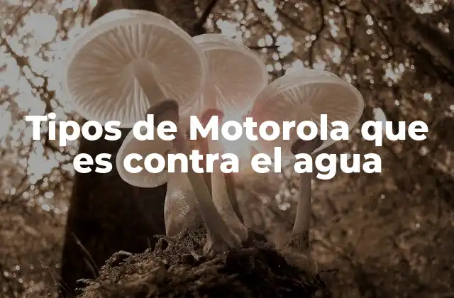 Tipos de Motorola que es contra el Agua