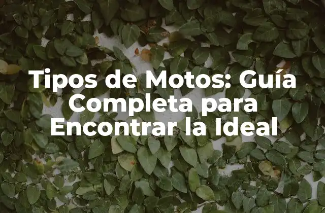 Tipos de Motos: Guía Completa para Encontrar la Ideal