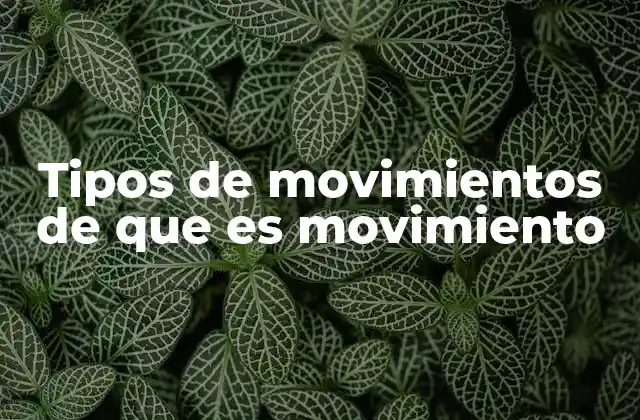 Tipos de Movimientos de que es Movimiento