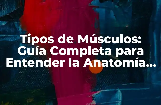 Tipos de Músculos: Guía Completa para Entender la Anatomía Humana