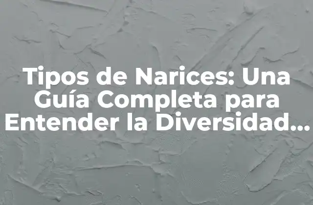 Tipos de Narices: una Guía Completa para Entender la Diversidad Nasal
