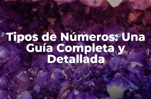 Tipos de Números: una Guía Completa y Detallada