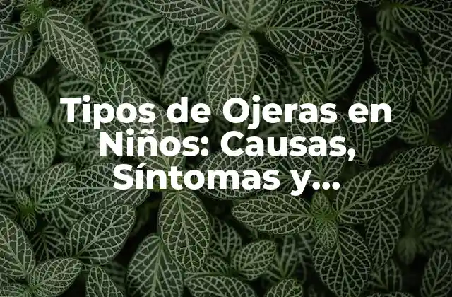 Tipos de Ojeras en Niños: Causas, Síntomas y Tratamientos