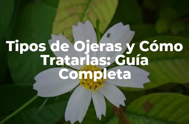 Tipos de Ojeras y Cómo Tratarlas: Guía Completa