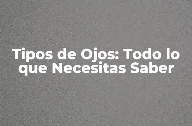 Tipos de Ojos: Todo Lo que Necesitas Saber